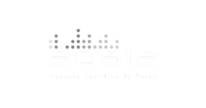 AGATA_optimized