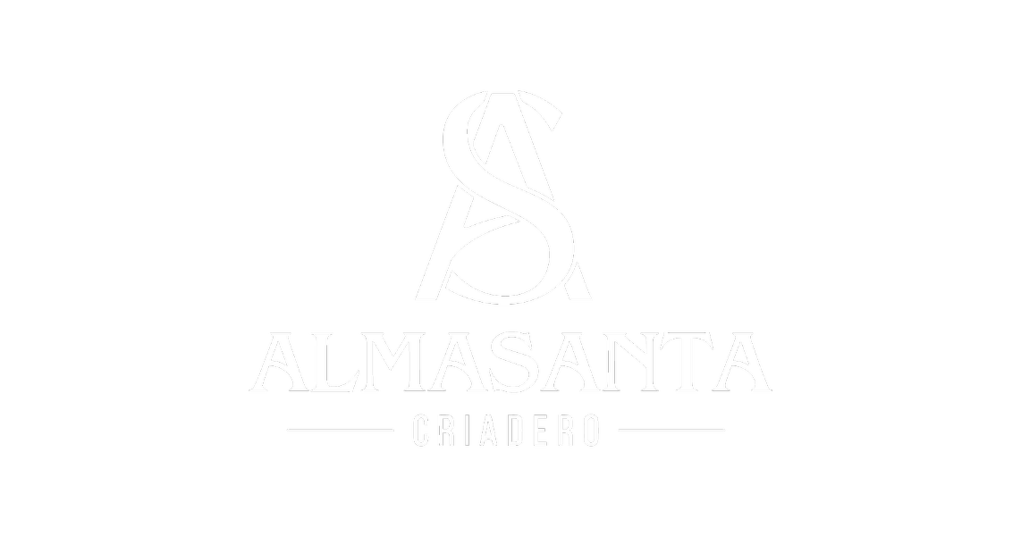 ALMASANTA_optimized