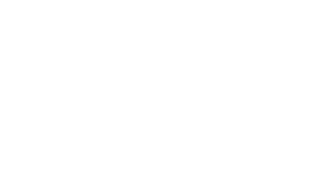 AlleyCorpSur